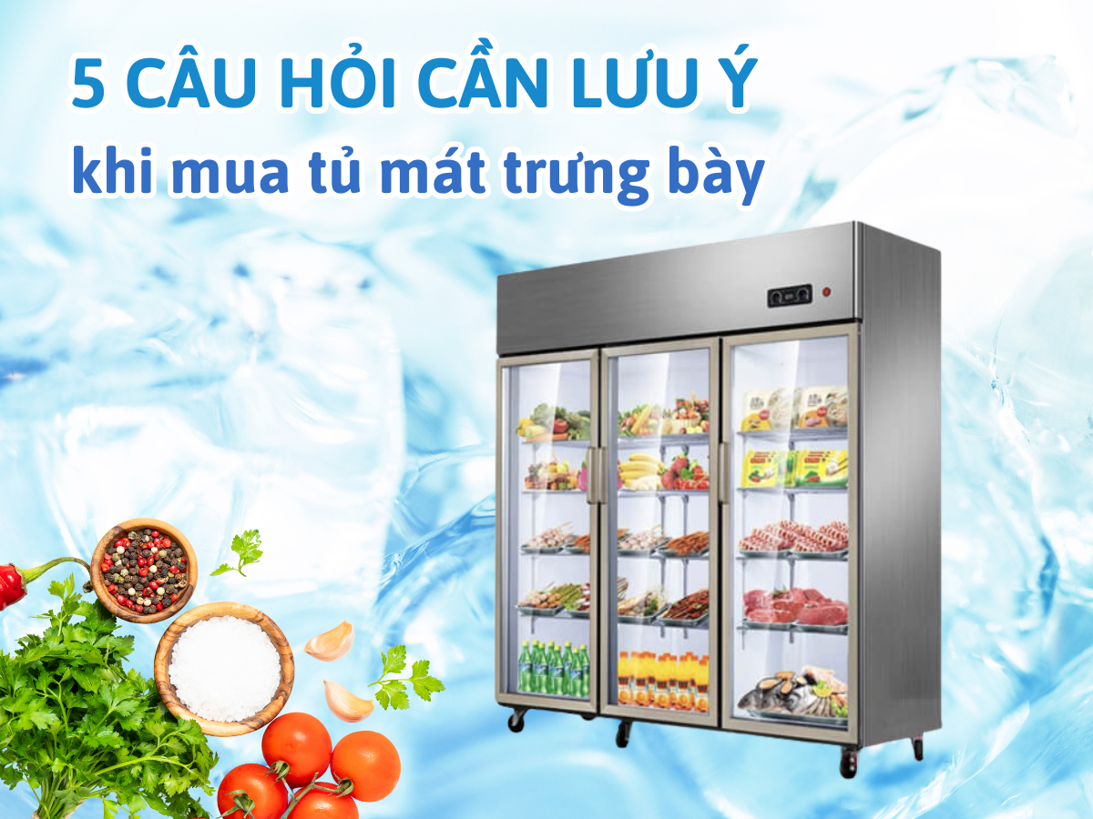 5 câu hỏi cần lưu ý khi mua tủ mát trưng bày