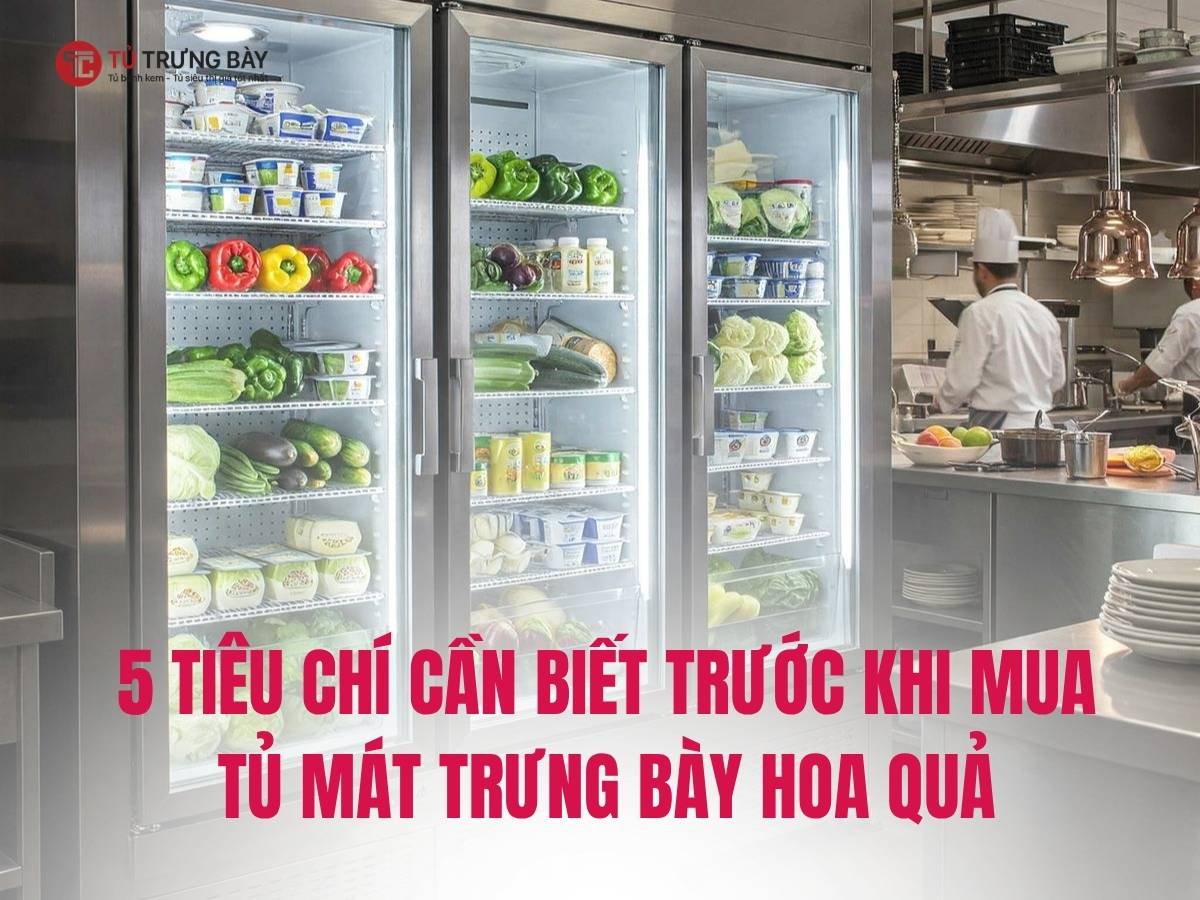 5 tiêu chí cần biết trước khi mua tủ mát trưng bày hoa quả