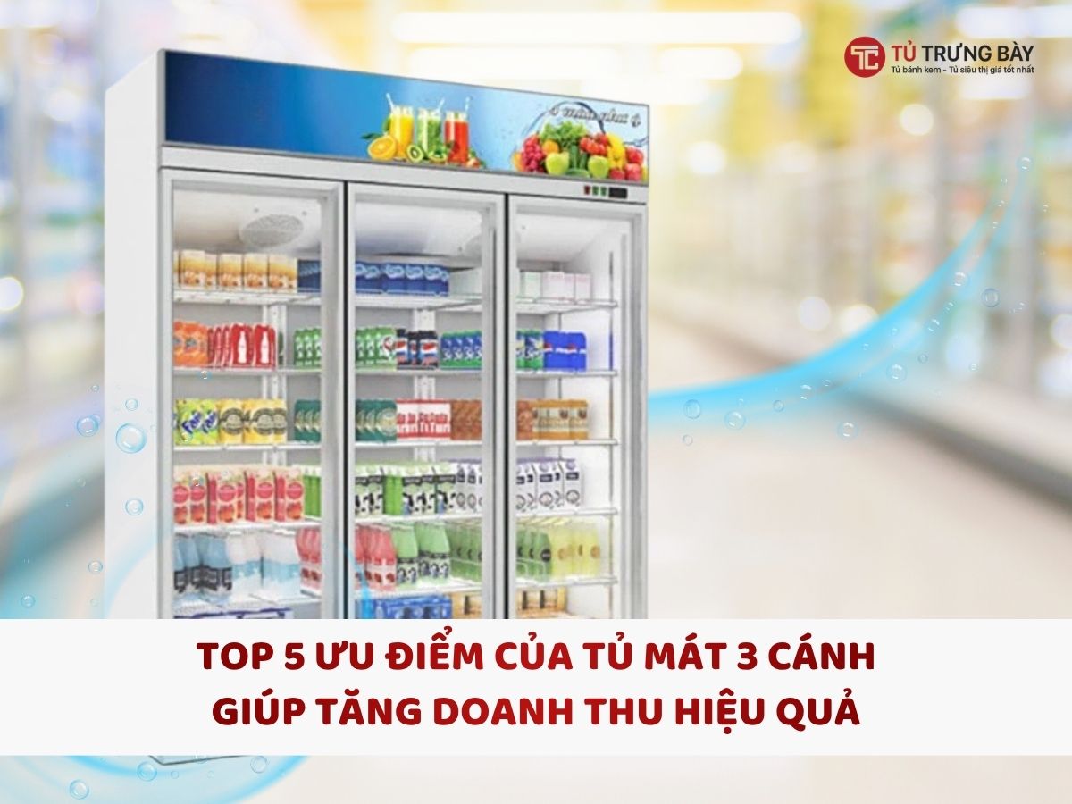 Top 5 ưu điểm của tủ mát 3 cánh giúp tăng doanh thu