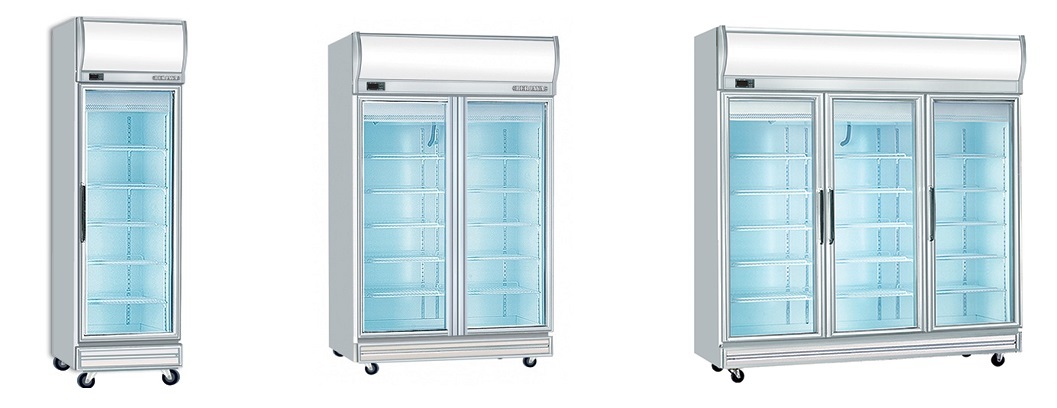 tu-lanh-dung-cua-kinh-1-canh-2-canh-3-canh