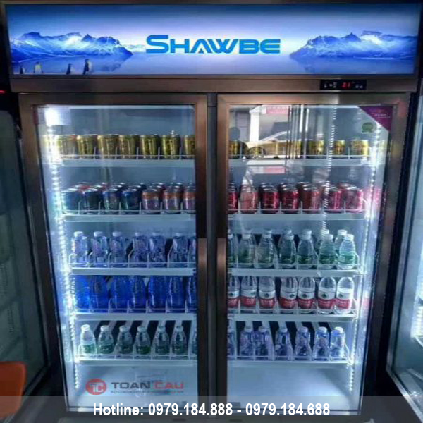 tu mat 2 canh kinh cua keo gia re 1