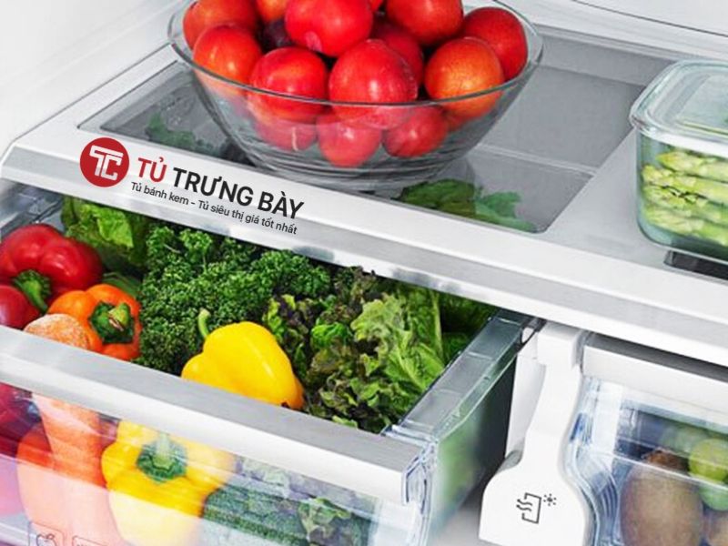 cách giữ rau tươi lâu trong tủ lạnh